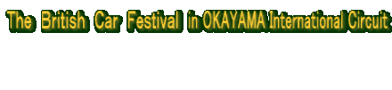 �s�����@�a�������������@�b�����@�e���������������@in OKAYAMA International Circuit    